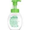 Acnes Mentholatum Acnes Fluffy Foam Face Wash for Acne Prevention,