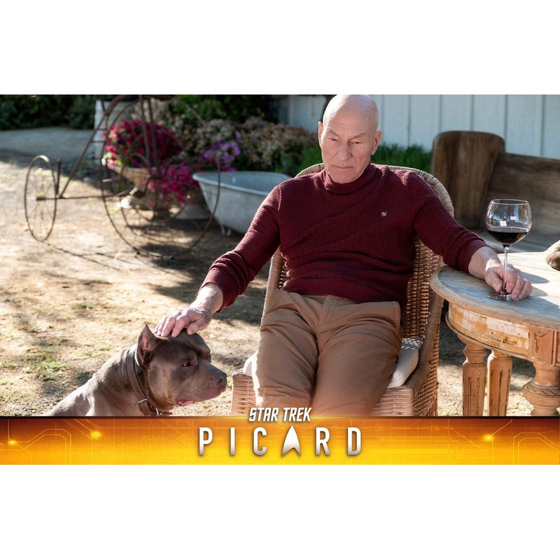 STAR TREK: Picard - Staffel 1