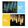 Solar Reed Garden Lights Waterproof LED Garden Stake Lights Decorative