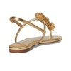 Sam Edelman Women's Eliza Flat Sandal, Amber Gold, 7.5
