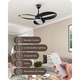 EDISHINE 42" Unique Black Ceiling Fans with Lights, 3 Looped Blades, Remote Control, Quiet DC Motor, 3CCT Dimmable, 6 Speeds, Reversible, Indoor Modern Ceiling Fan for Bedroom, Kids Room, Living Room