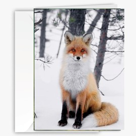 Red Fox-Animal themed Greeting card, Larger Size with Backside image & Blank inside - Unique Photography All Occasion Card for Wildlife, Animal Lovers, Family, Friends, Love, Holidays, Graduation