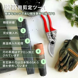 Pruning Shears, Garden Scissors, Pruning Shears, Gardening Scissors, Professional Pruning Shears with Safety Lock, Durable Gardening Scissors, Bypass Type, SK5, Steel, Japanese Steel, Garden Work,