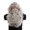 WIG ME UP - 46-A+B-ZA68R Wig and Beard Set Deluxe