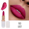 Phoera ABSOLUTE VELVET MATTE LIPSTICK LONG LASTING WATERPROOF PIGMENT MAKEUP