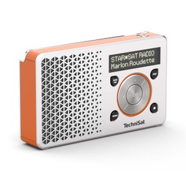 Nordmende Transita Digital Radio Mono Silver/orange