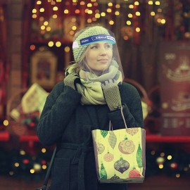 Pac-Dent - S032-2-A iShield Pro Flip, Disposable Flip Up Face Shields with