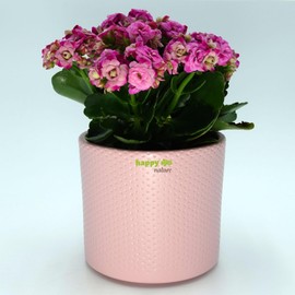 happy nature Ceramic Flower Pot Toscana Silver Pink Matt Diameter 13.5 cm Height 12.5 cm