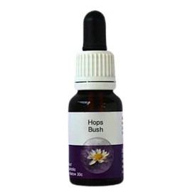 Living Essences Hops Bush 100ml