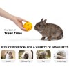 NON-SQUARE Treat Ball, Snack Ball for Rabbits, Guinea Pigs, Hamster,