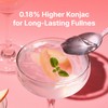 Sugarlolo Sweet Grapefruit Konjac Jelly Snack - Vegan Jello with