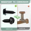 License Plate Screw Kit, Stainless License Plate Screws, Self Tapping