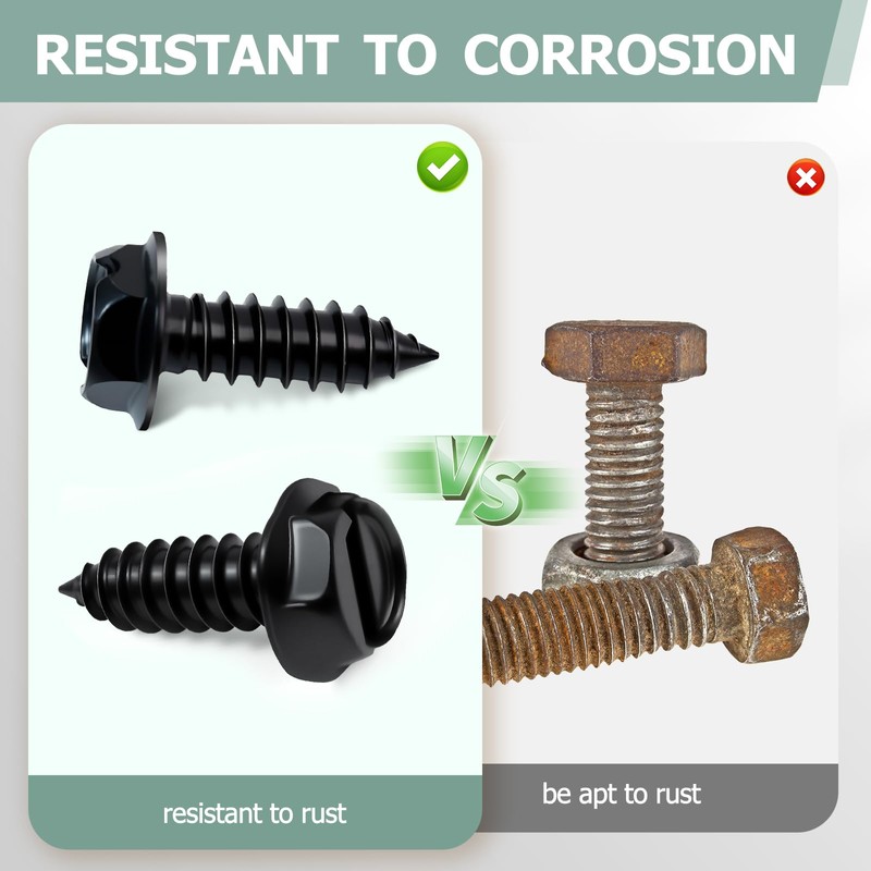 License Plate Screw Kit, Stainless License Plate Screws, Self Tapping