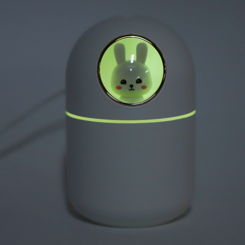 Humidifier Aroma Diffuser USB Power Supply 300ml Capacity Auto Shutdown