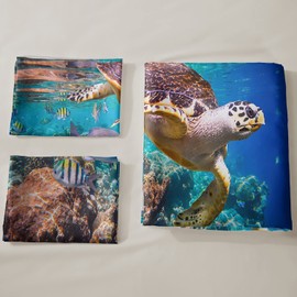 AILONEN Sea Turtle Bedding Set,Sea Turtle Duvet Cover Set Full Size,Ocean Turtle Themed Comforter Cover for Teens Boys and Girls(1 Quilt Cover 2 Pillowcases 3 Piece)