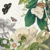 2025 Royal Botanic Gardens Kew, Floral Illustrated Wall calendarll: Plastic