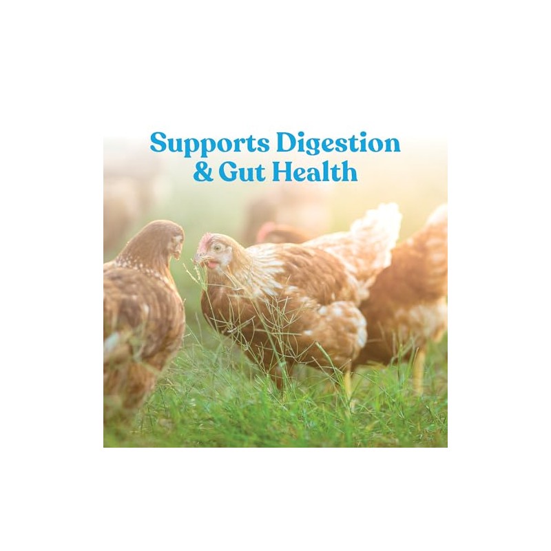 Manna Pro Hydro-Hen Poultry Electrolyte & Probiotic Supplement, Hydration Support