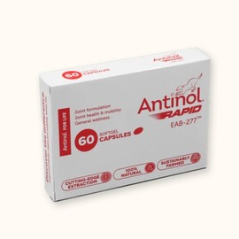 Antinol Rapid Joint Supplement for Dogs Green-lipped Mussel / 안티놀 래피드 강아지용 관절 영양제 초록입홍합