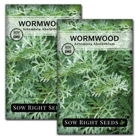 Sow Right Seeds - Wormwood Seeds for Planting - Non-GMO Heirloom Packet with Instructions to Plant & Grow an Outdoor or Indoor Herb Garden - Sagewort Repels Mosquitoes - Medicinal Worm Wood Herb (2)