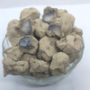 Black Terracotta Clay 200 Grams (0.44 lbs)