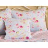 Riva Paoletti Honeypotlane White Pillow Shams, Singles, Cotton