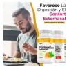 BioHerb | Fenogreco Extracto 100% Puro (360 Capsulas 500mg) [Potente