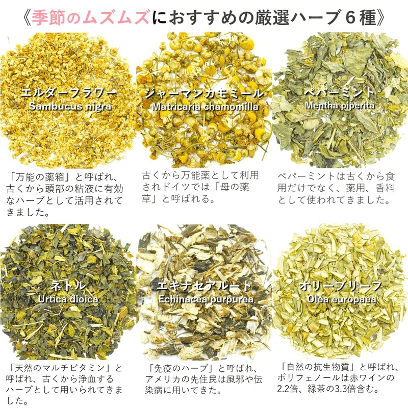 Muzumu's Tea Bags Decaffeinated Elderflower German Chamomile Peppermint Nettle Echinacea