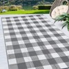 GlowSol 10x14 Outdoor Rugs Waterproof Reversible Outdoor Plastic Straw Rug,