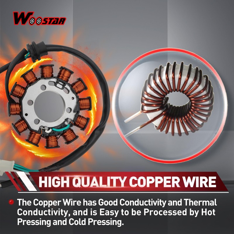 WOOSTAR 12 Coil 3 Wire Magneto Stator Replacement for 2013-2018