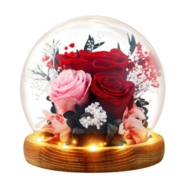 INYPTROPIC Preserved Flowers Birthday Gifts for Women Forever Rose Gifts for Mom Grandma Wife Valentines Mothers Day Christmas Anniversary Eternal Light Up Red Roses in Glass Dome