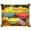Camp Casual CC-006 Multicolor Nesting Bowl with Lids, Set of