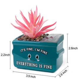 YINUOWEI Emotional Support Dumpster Fire Desk Decor, Fake Plants in Ceramic Succulent Pots, Motivational Positive Thinking Office Desk Accessories, Funny Gifts for Women, Men, Coworkers