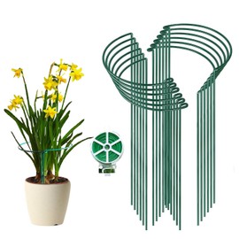 AGOLEAM 12 Packs Plant Support Stake, 10" W x 24" H Thickened 5mm Half Round Metal Garden Plant Stake, Green Plant Support Ring, Border Support for Indoor Outdoor Plants, Vegetable, Flowers