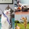 APSUAE 9 PCS Cat Fishing Pole Toy, Retractable Cat Feather