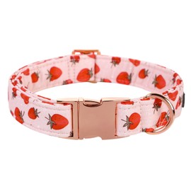 Lionet Paws Dog Collar, Comfortable Adjustable Cute Collar with Metal Buckle for Male Female Dogs Gift, Strawberry Pattern, Medium, Neck 13.5-22 inches