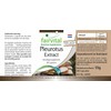 Fairvital Pleurotus Extract 500 mg - High Dose - Pleurotus