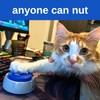 The Nut Button Toy - When Memes Become Reality |