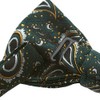 Green Paisley Bow Tie Bow Tie [Simple Wearing Type] BD275