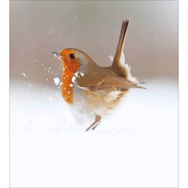 Woodmansterne Christmas Cards Robin Snow Pack of 5 - Charity UK Made Xmas Cards