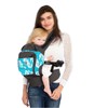 LILLEbaby 4 in 1 Essentials All Seasons Child Carrier Seahorse