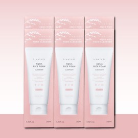 S-Nature Aqua Rice Mildly Acidic Cleansing Foam 160ml 6pcs / 에스네이처 아쿠아 라이스 약산성 클렌징폼 160ml 6개