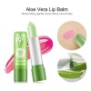 H Set De 12 Pintalabios, 3.5 G, Aloe Vera