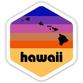 Squiddy Hawaii - Vinyl Sticker Decal for Phone, Laptop, Water Bottle (2.5" high)