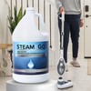 Steam and Go Unscented Demineralized Water - Cleaning Solution for
