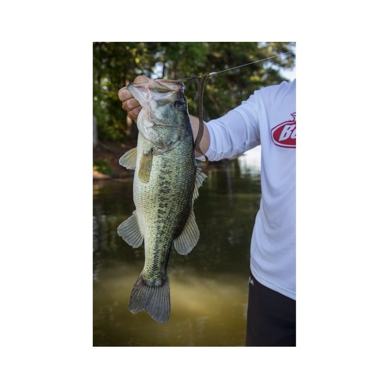 PowerBait MaxScent Kingtail Green Pumpkin Candy 8in | 20cm