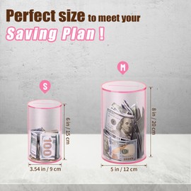 Hicocool Clear Piggy Bank for Adults Kids Must Break to Open, Pink Acrylic Piggy Bank Unopenable Money Savings Jar (6" H x 3.54" D)