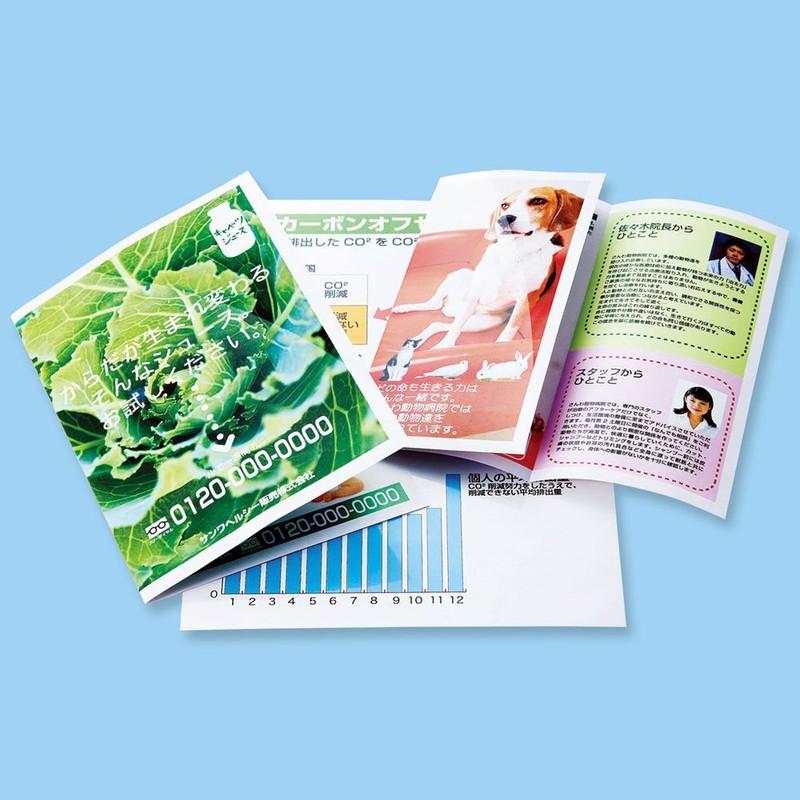 Sanwa Supply LBP-KNA4N Photo Glossy Paper for Color Laser, Thin