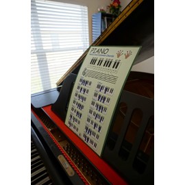 PLUM ROSE Piano Chords Chart (11x17) - Educational Music Poster - Chart for Piano (green)