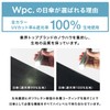 Wpc. 801-14795-102 Parasol Folding Umbrella, Light Shading Flower-Cut Stripe, Mini