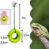 JSLZF Tree Frog Habitat with Terrarium Decor, Frog Climbing Swing
